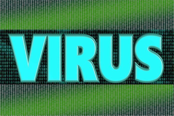 virus virus