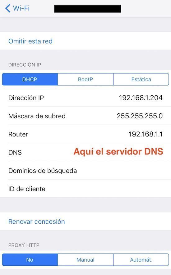 cambiar los servidores DNS en iOS