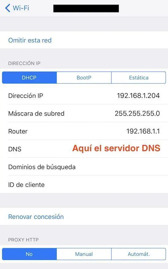cambiar los servidores DNS en iOS