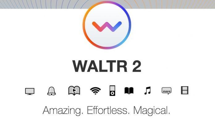 walter 2 analisis walter 2 analisis