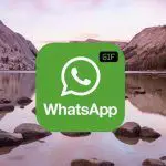 enviar gif whatsapp iphone