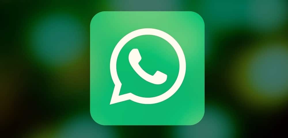 truco Como descargar WhatsApp beta en iPhone