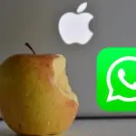 desactivar las notificaciones de WhatsApp en Mac