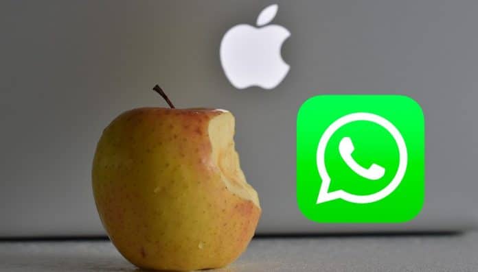 desactivar las notificaciones de WhatsApp en Mac desactivar las notificaciones de WhatsApp en Mac